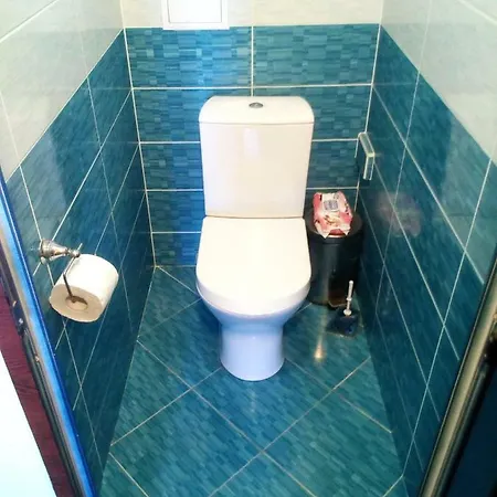 Чайка *